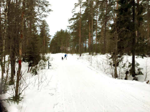 Jobb- och sportlov