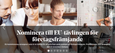 Företagsfrämjande