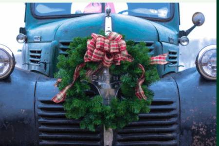 Nyhetsbrev #10 från Net Zero Industry